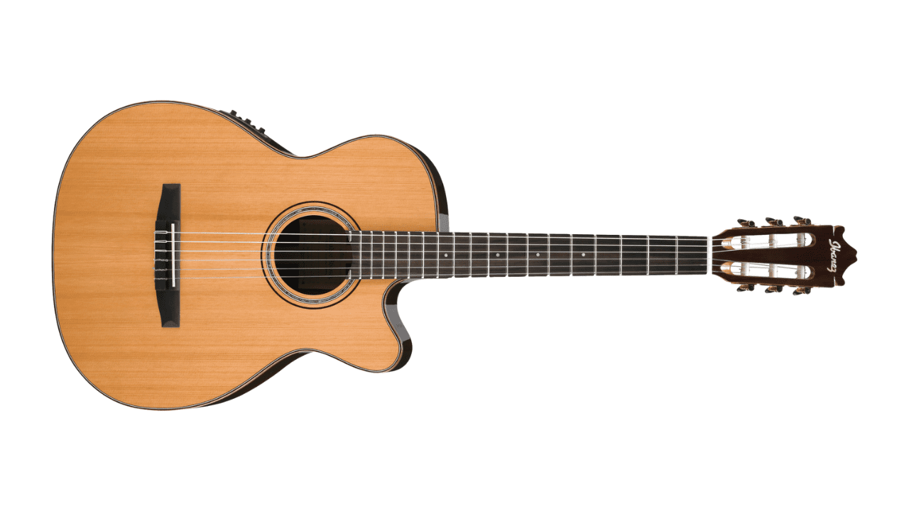 ?¿Qué guitarra es mejor para guitarristas principiantes ?? - -