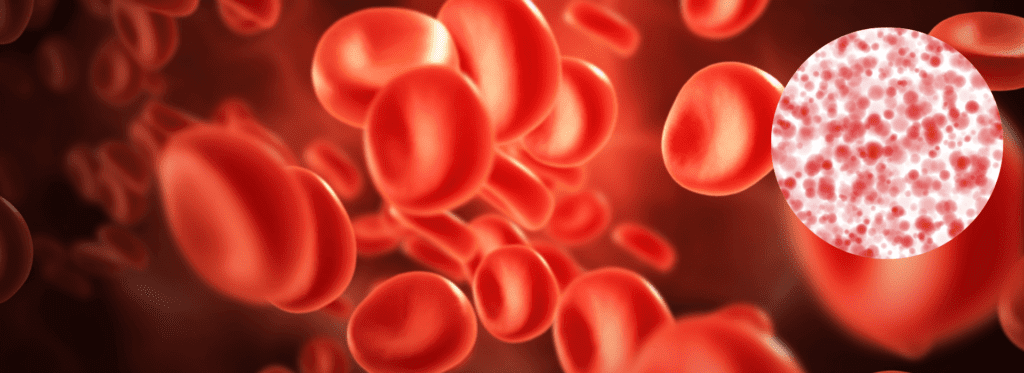 🔍 ¿qué es lo que indica la prueba hba1c sobre tu nivel de azúcar en la sangre? 🩸🕒 - -