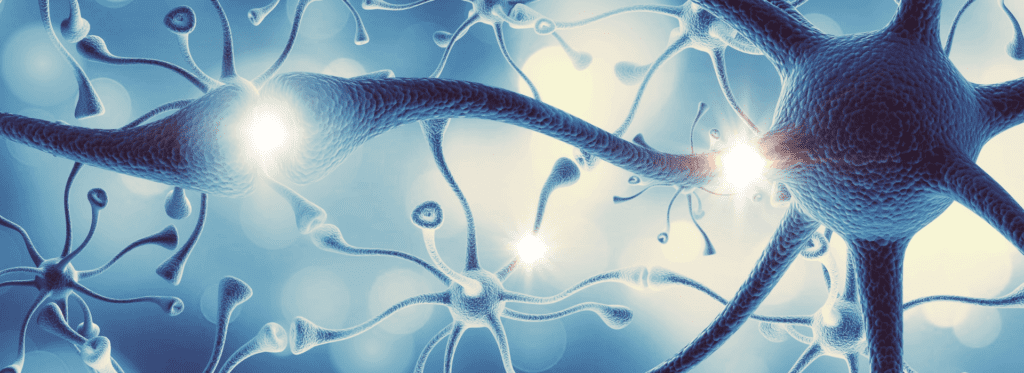 🙇♀️ brain and glycemia🩸 exploring the connection for optimal health - -